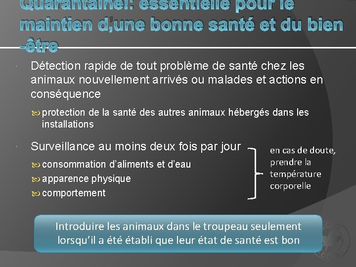 Quarantaine : essentielle pour le maintien d’une bonne santé et du bien -être Détection