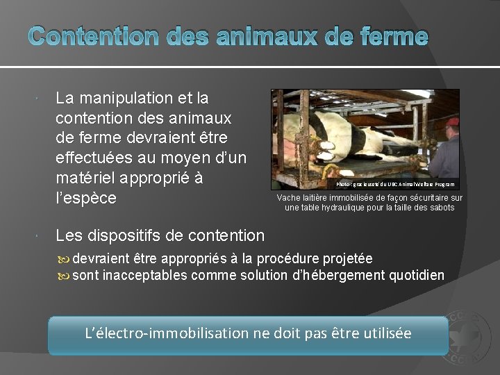 Contention des animaux de ferme La manipulation et la contention des animaux de ferme