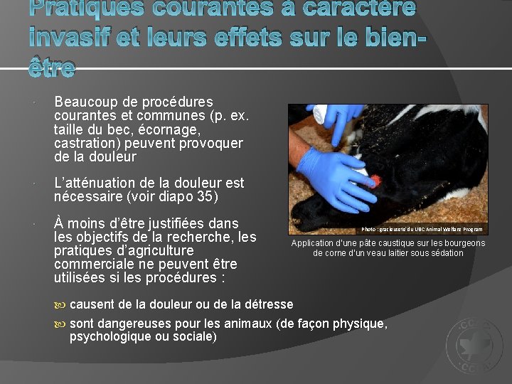 Pratiques courantes à caractère invasif et leurs effets sur le bienêtre Beaucoup de procédures