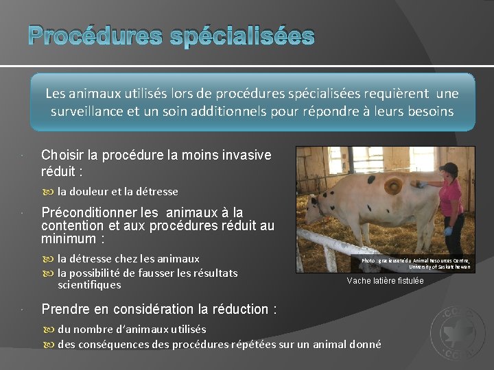 Procédures spécialisées Les animaux utilisés lors de procédures spécialisées requièrent une surveillance et un