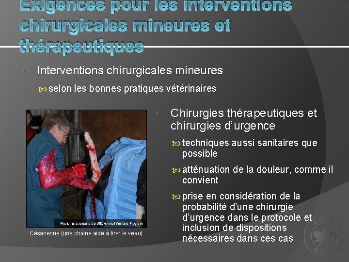 Exigences pour les interventions chirurgicales mineures et thérapeutiques Interventions chirurgicales mineures selon les bonnes