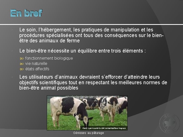 En bref Le soin, l’hébergement, les pratiques de manipulation et les procédures spécialisées ont