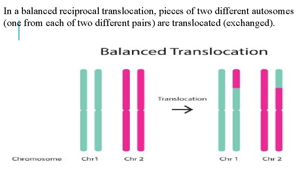 In a balanced reciprocal translocation, pieces of two different autosomes (one from each of In a balanced reciprocal translocation, pieces of two different autosomes (one from each of