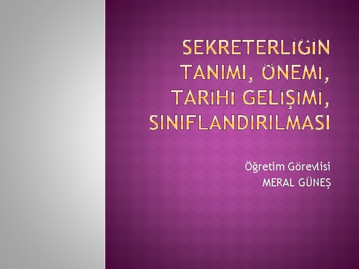 Öğretim Görevlisi MERAL GÜNEŞ 