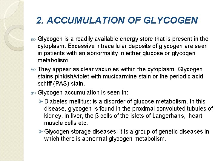 2. ACCUMULATION OF GLYCOGEN Glycogen is a readily available energy store that is present