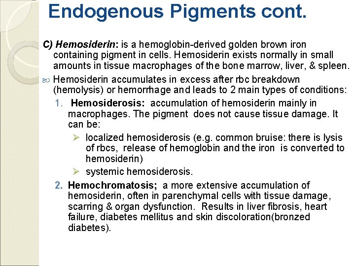 Endogenous Pigments cont. C) Hemosiderin: is a hemoglobin-derived golden brown iron containing pigment in