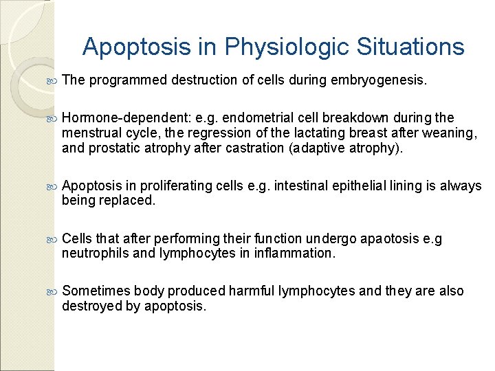 Apoptosis in Physiologic Situations The programmed destruction of cells during embryogenesis. Hormone-dependent: e. g.