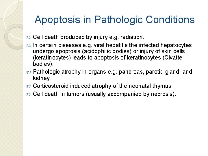 Apoptosis in Pathologic Conditions Cell death produced by injury e. g. radiation. In certain