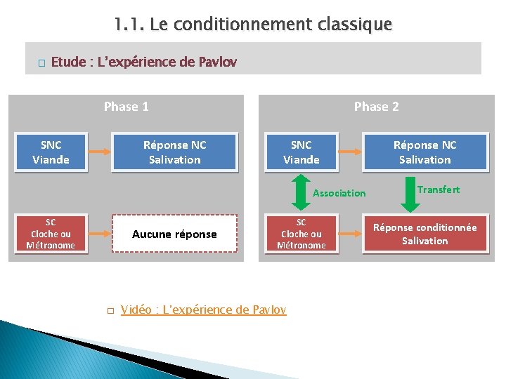 1. 1. Le conditionnement classique � Etude : L’expérience de Pavlov Phase 1 SNC