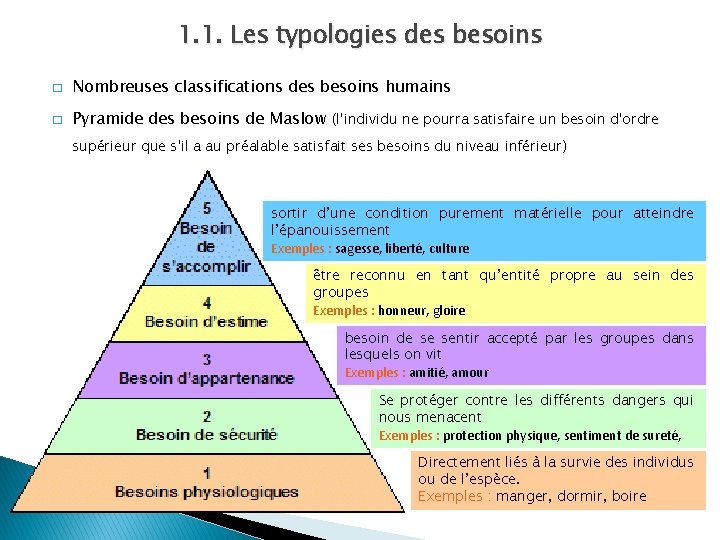 1. 1. Les typologies des besoins � Nombreuses classifications des besoins humains � Pyramide