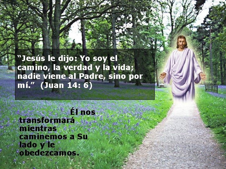 “Jesús le dijo: Yo soy el camino, la verdad y la vida; nadie viene