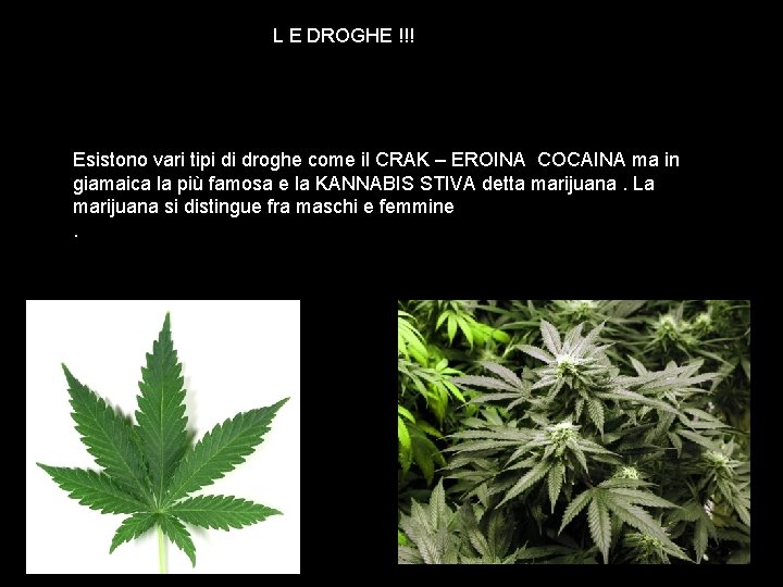  L E DROGHE !!! Esistono vari tipi di droghe come il CRAK –