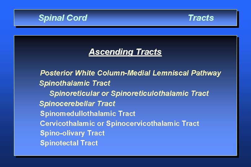 Spinal Cord Tracts Ascending Tracts Posterior White Column-Medial Lemniscal Pathway Spinothalamic Tract Spinoreticular or