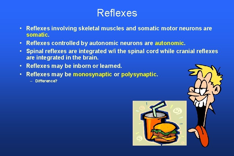 Reflexes • Reflexes involving skeletal muscles and somatic motor neurons are somatic. • Reflexes