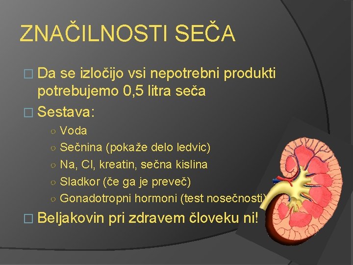 ZNAČILNOSTI SEČA � Da se izločijo vsi nepotrebni produkti potrebujemo 0, 5 litra seča