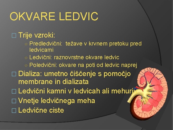 OKVARE LEDVIC � Trije vzroki: ○ Predledvični: težave v krvnem pretoku pred ledvicami ○