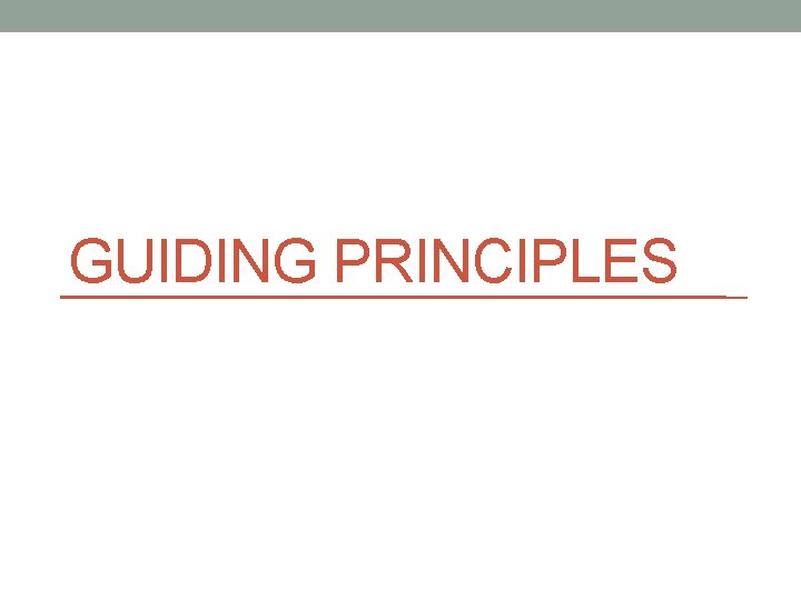 GUIDING PRINCIPLES 