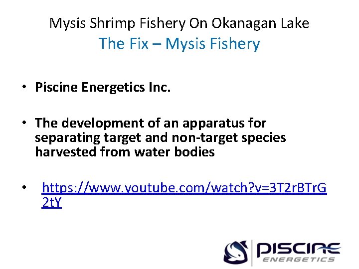 Mysis Shrimp Fishery On Okanagan Lake The Fix – Mysis Fishery • Piscine Energetics