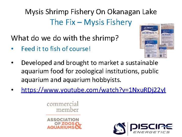 Mysis Shrimp Fishery On Okanagan Lake The Fix – Mysis Fishery What do we