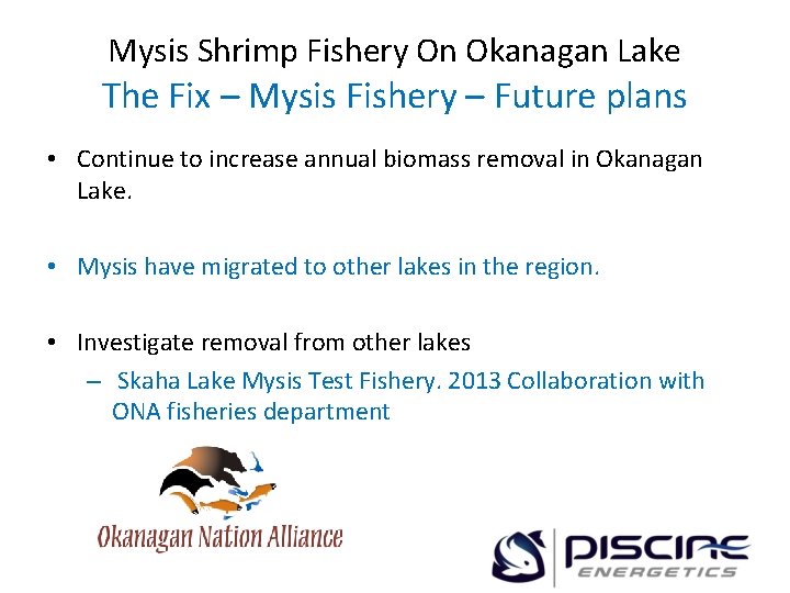 Mysis Shrimp Fishery On Okanagan Lake The Fix – Mysis Fishery – Future plans