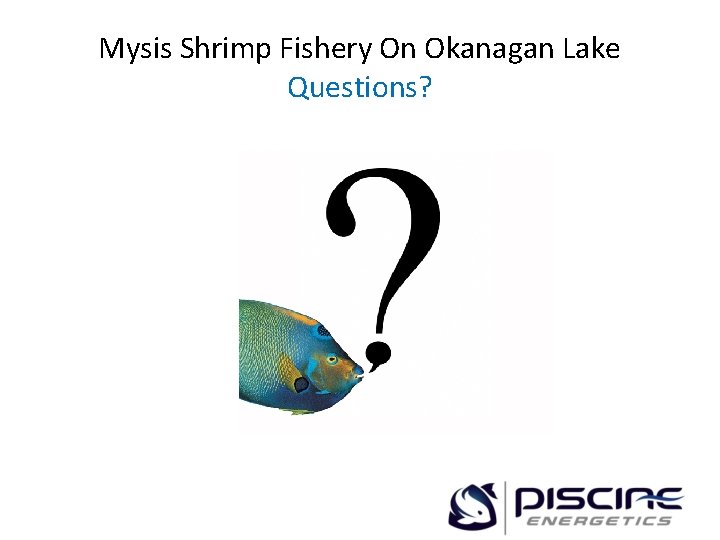 Mysis Shrimp Fishery On Okanagan Lake Questions? 