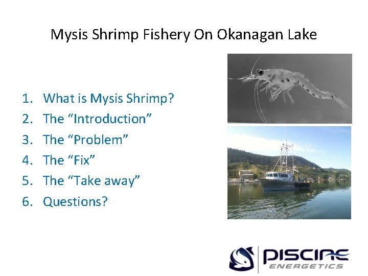 Mysis Shrimp Fishery On Okanagan Lake 1. 2. 3. 4. 5. 6. What is