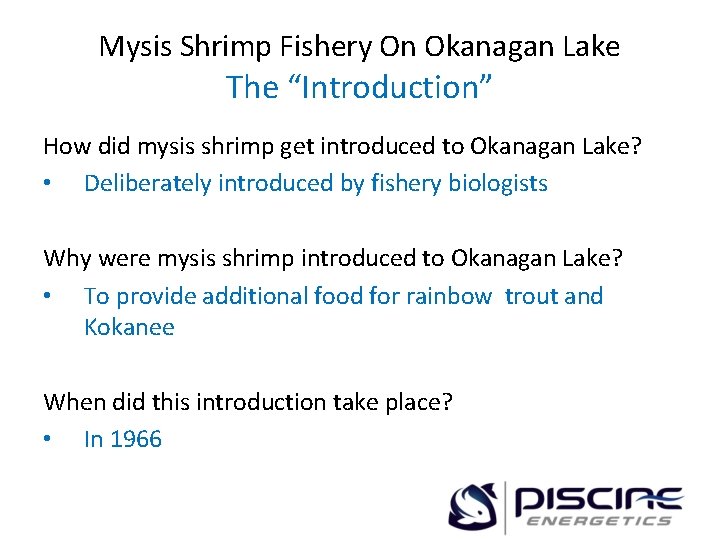 Mysis Shrimp Fishery On Okanagan Lake The “Introduction” How did mysis shrimp get introduced