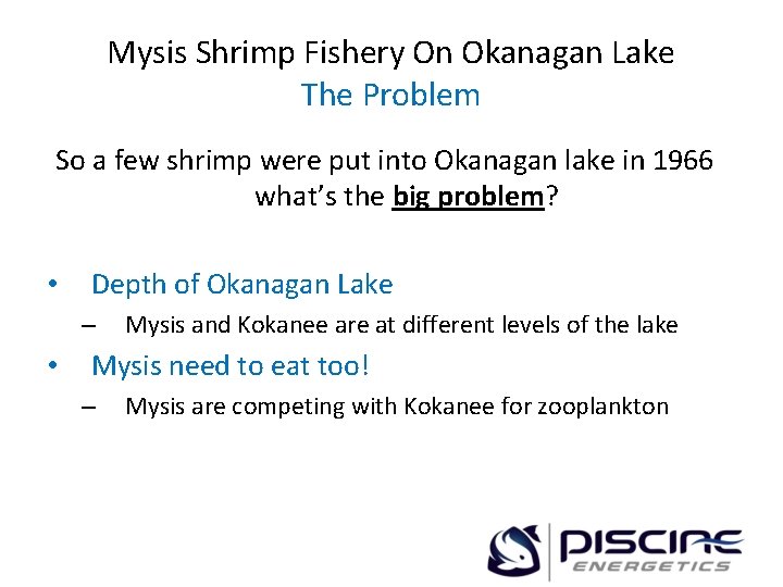 Mysis Shrimp Fishery On Okanagan Lake The Problem So a few shrimp were put