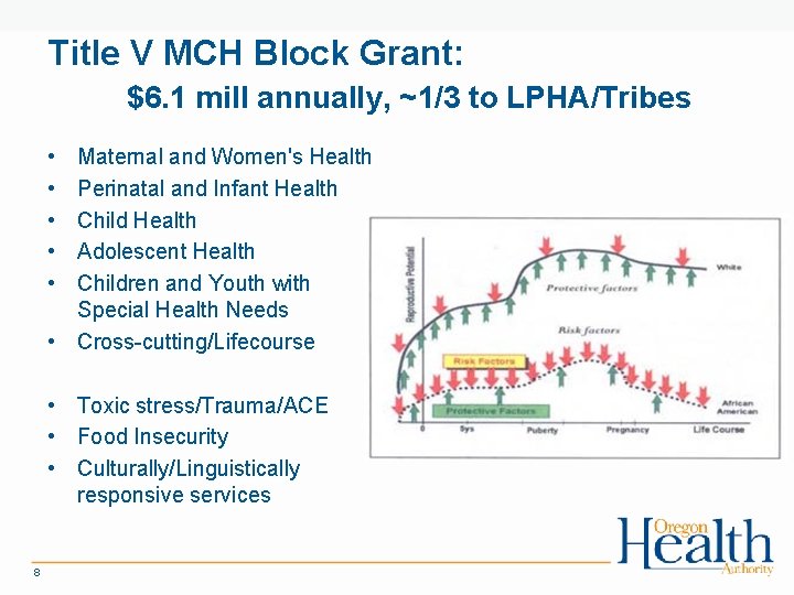 Title V MCH Block Grant: $6. 1 mill annually, ~1/3 to LPHA/Tribes • •