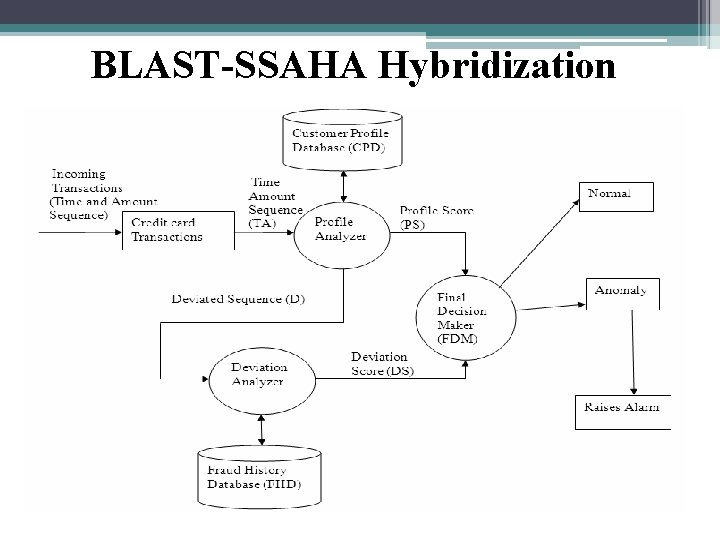 BLAST-SSAHA Hybridization 