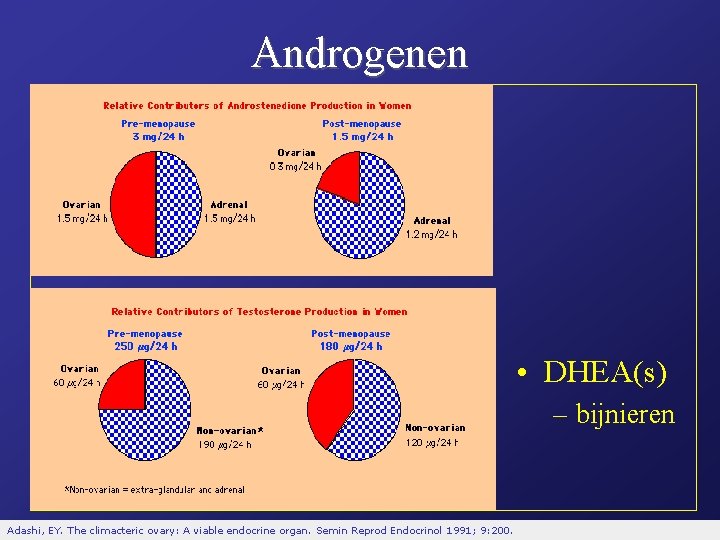 Androgenen • DHEA(s) – bijnieren Adashi, EY. The climacteric ovary: A viable endocrine organ. Androgenen • DHEA(s) – bijnieren Adashi, EY. The climacteric ovary: A viable endocrine organ.