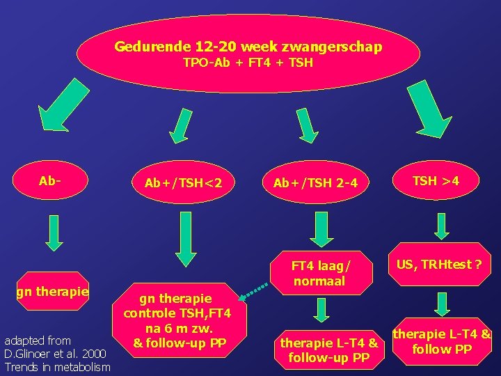 Gedurende 12 -20 week zwangerschap TPO-Ab + FT 4 + TSH Ab- gn therapie
