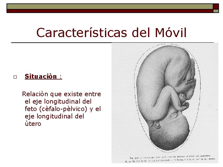 Características del Móvil o Situaciòn : Relaciòn que existe entre el eje longitudinal del