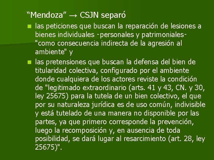 “Mendoza” → CSJN separó las peticiones que buscan la reparación de lesiones a bienes