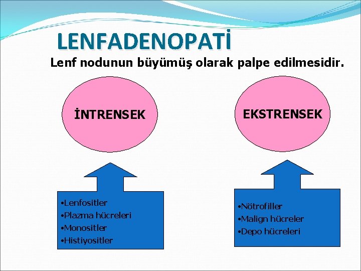 LENFADENOPATİ Lenf nodunun büyümüş olarak palpe edilmesidir. İNTRENSEK • Lenfositler • Plazma hücreleri •