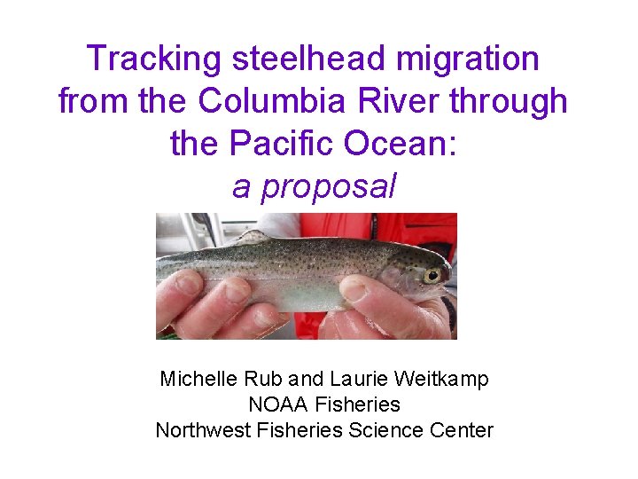 Tracking steelhead migration from the Columbia River through the Pacific Ocean: a proposal Michelle