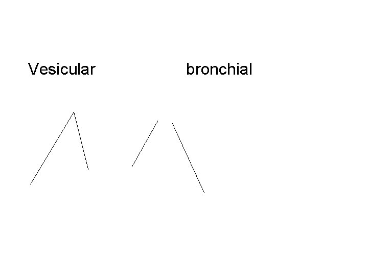 Vesicular bronchial Vesicular bronchial