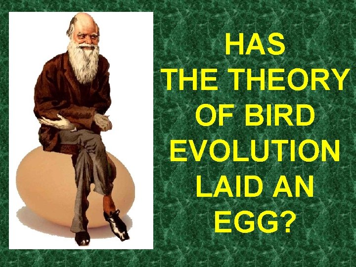 HAS THEORY OF BIRD EVOLUTION LAID AN EGG? 