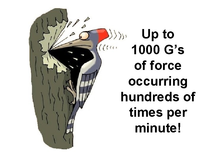 Up to 1000 G’s of force occurring hundreds of times per minute! 