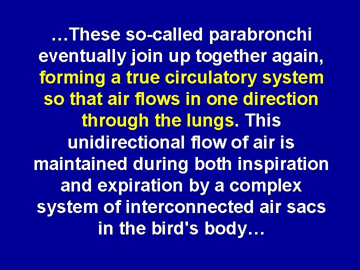 …These so-called parabronchi eventually join up together again, forming a true circulatory system so