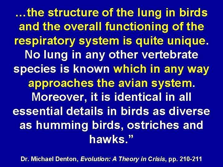 …the structure of the lung in birds and the overall functioning of the respiratory