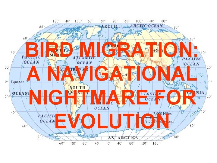 BIRD MIGRATION: A NAVIGATIONAL NIGHTMARE FOR EVOLUTION 