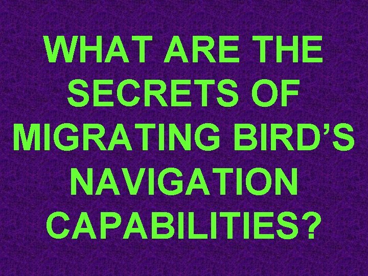 WHAT ARE THE SECRETS OF MIGRATING BIRD’S NAVIGATION CAPABILITIES? 