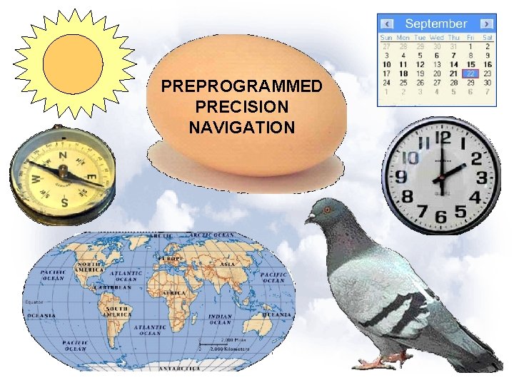 PREPROGRAMMED PRECISION NAVIGATION 