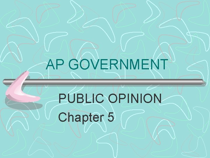 AP GOVERNMENT PUBLIC OPINION Chapter 5 