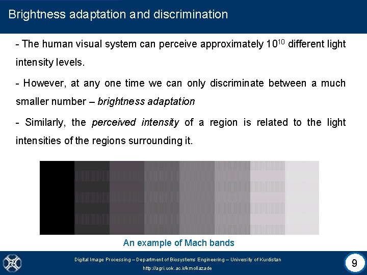 Brightness adaptation and discrimination - The human visual system can perceive approximately 1010 different