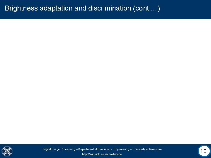 Brightness adaptation and discrimination (cont …) Digital Image Processing – Department of Biosystems Engineering