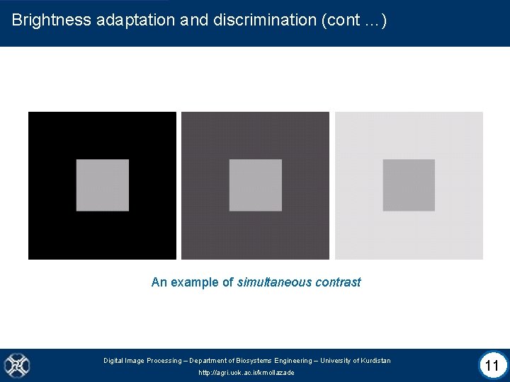 Brightness adaptation and discrimination (cont …) An example of simultaneous contrast Digital Image Processing