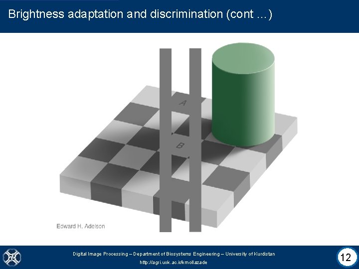 Brightness adaptation and discrimination (cont …) Digital Image Processing – Department of Biosystems Engineering