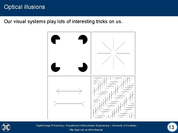 Optical illusions Our visual systems play lots of interesting tricks on us. Digital Image